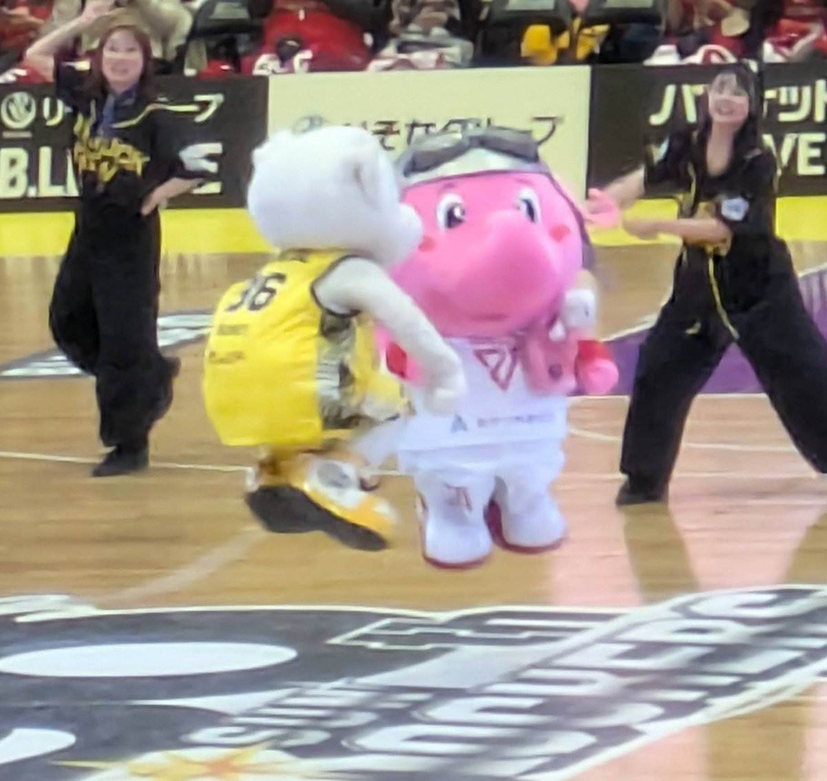 ぴょ～ん🐰 #ジャンボくん