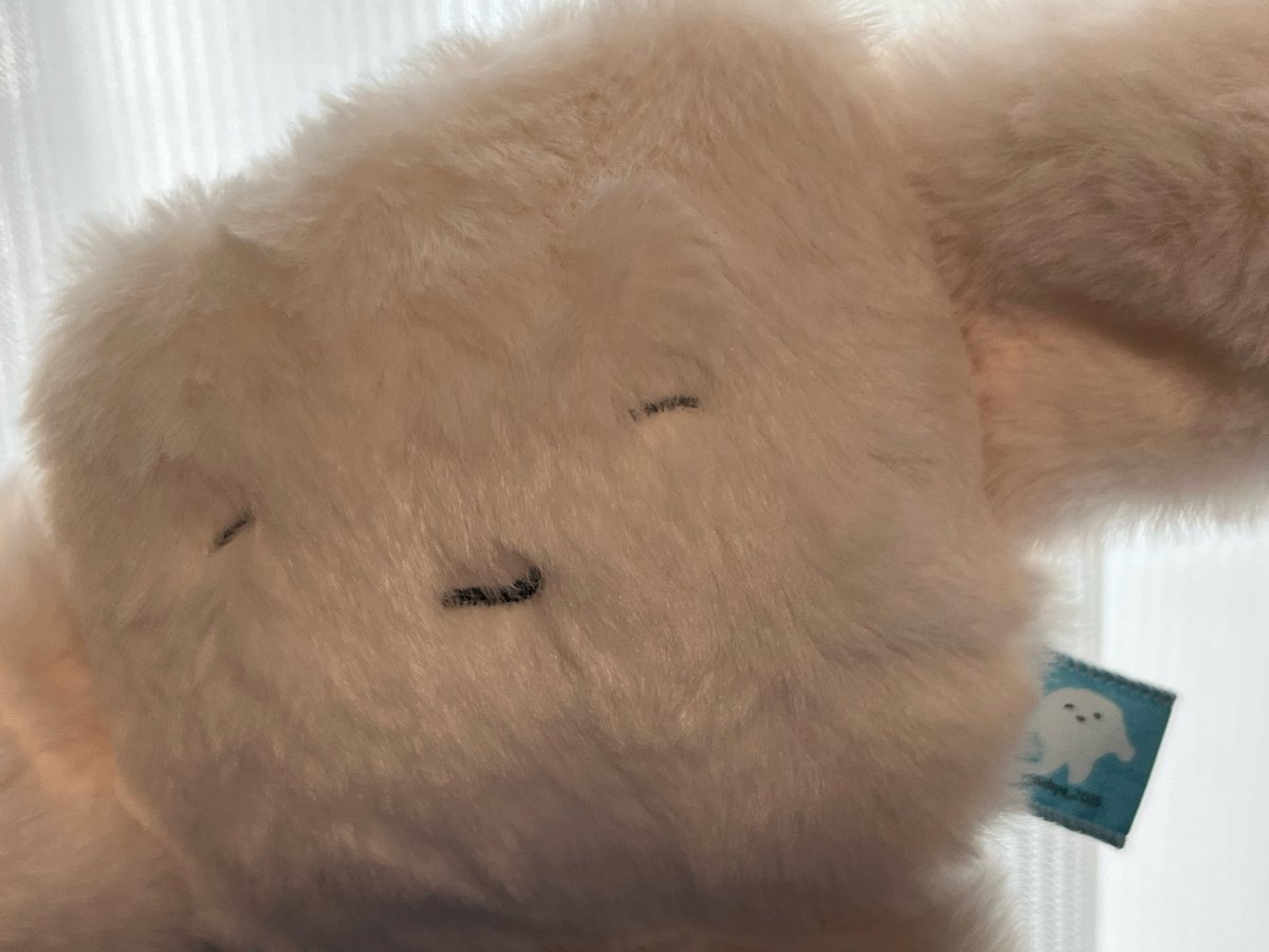 かきもちくん (@kakimochikun) / Posts / X