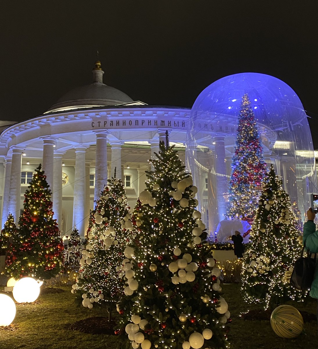 машулик 𖡼𖤣𖥧𖡼 tweet media