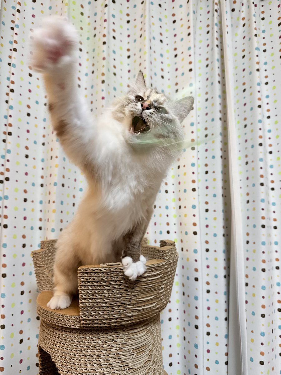 いずもん/まろ様＊mfmf (@7nfxwoi3F8lSqHU) / Posts / X