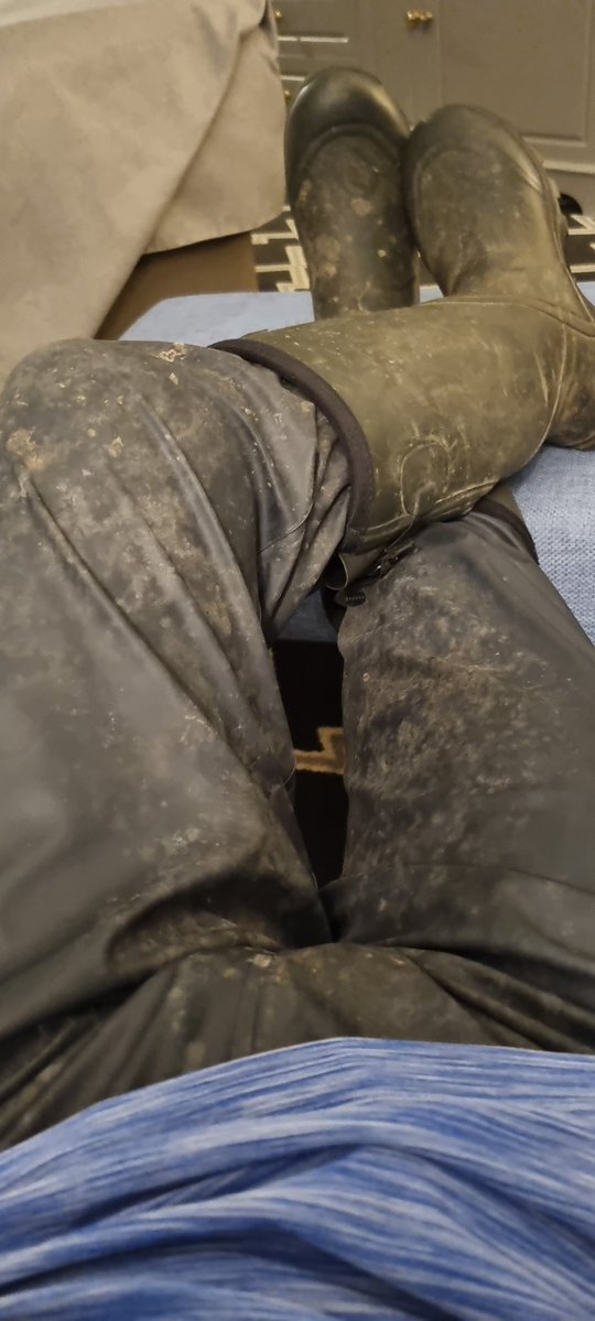 farmhandie's tweet image. 