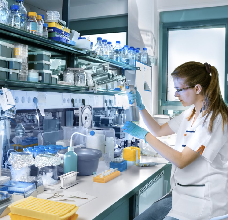 NTM Info & Research tweet media