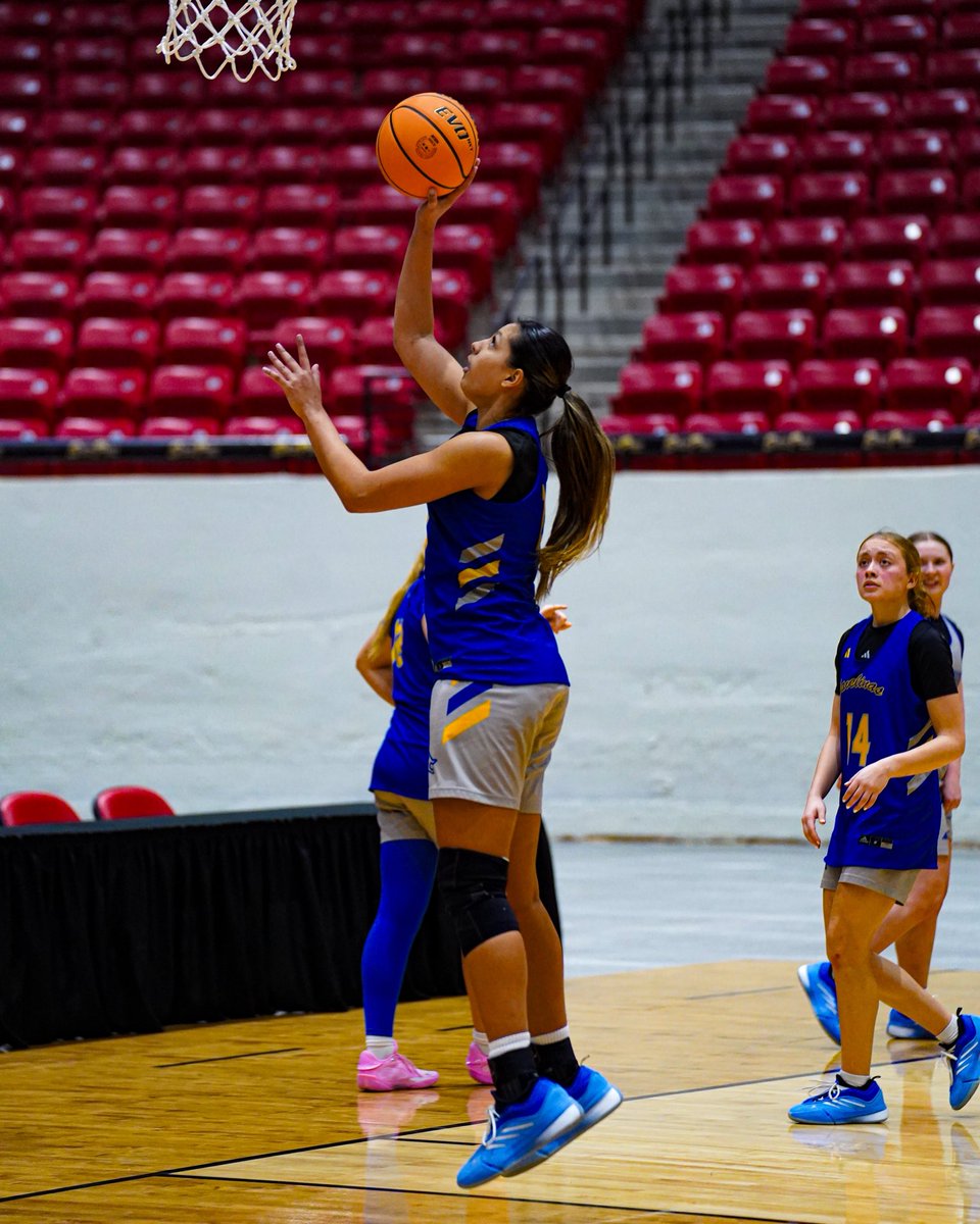 Javelina Women’s Basketball 🏀🐗 tweet media
