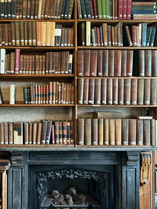 Hadley8512's tweet photo. Find your next adventure in the pages of a book, where every chapter opens new worlds, sparks imagination, and lets your heart travel far beyond the ordinary, one story and dream at a time. 📖✨🌍📷 https://t.co/yrwEjQi0fO