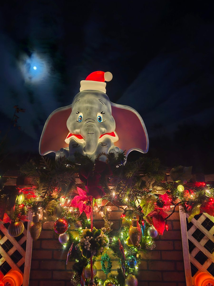 3PalmsZoo's tweet image. FINAL WEEKEND WITH SANTA 🎅

This is your last chance to visit Santa Claus before Christmas at 3 Palms Zoo!

Join us Friday &amp;amp; Saturday, 6–8 PM for Zoo Lights &amp;amp; Christmas Nights.

Once the weekend ends, Santa heads back to the North Pole.

Don’t miss it!

#VisitSanta #ZooLights