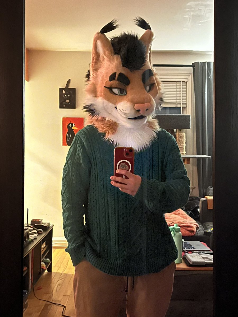 Mayelo🐱 tweet media