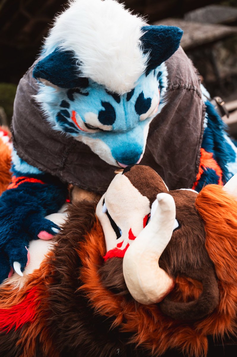 イルス★碳酸❄️🐆🔜Thaitail tweet media