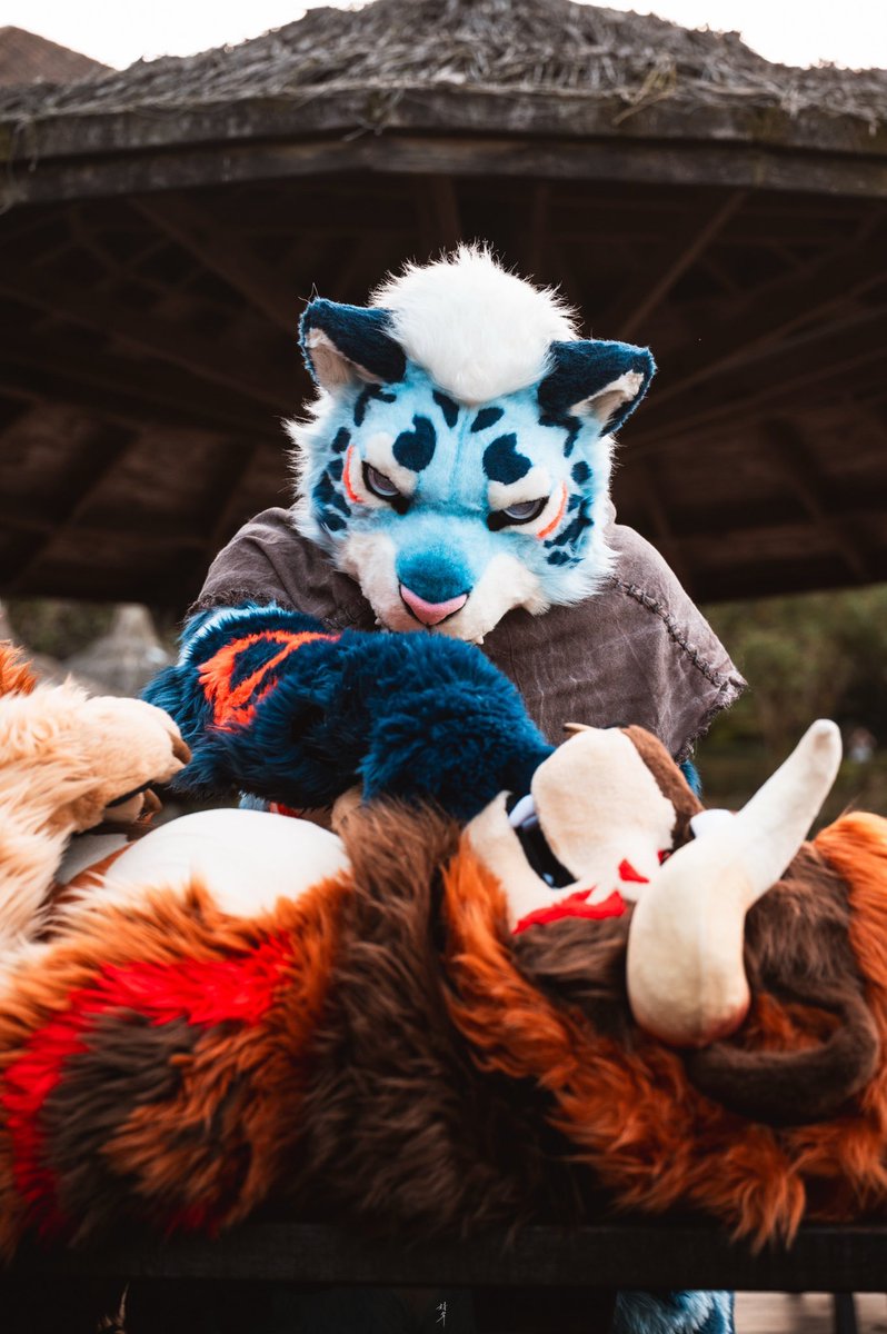 イルス★碳酸❄️🐆🔜Thaitail tweet media