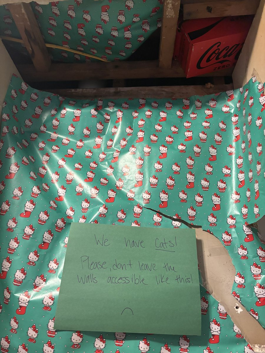 εϊз liz tweet media