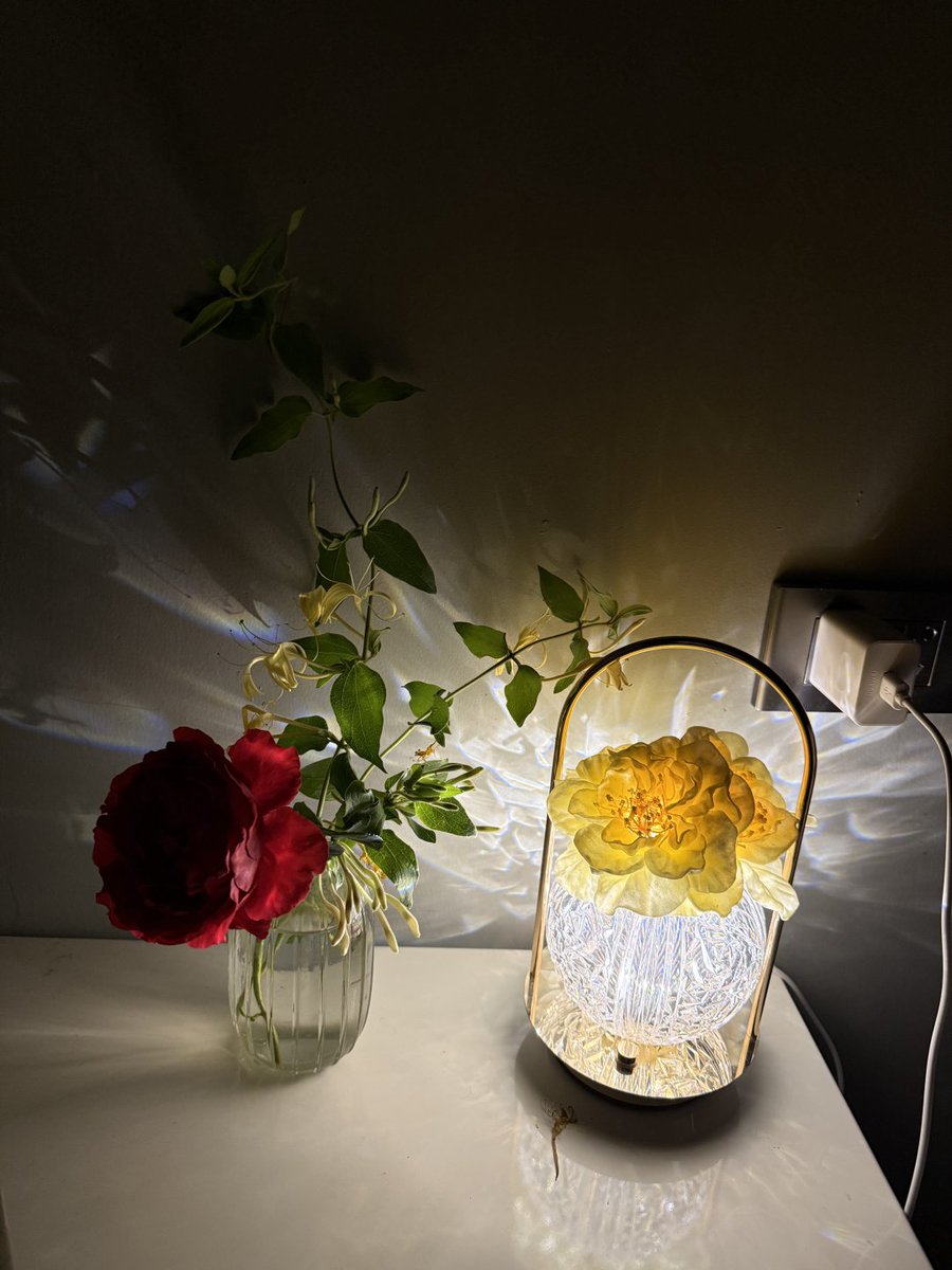 ponloeur678's tweet photo. Shadows and sparkles of true pink romance combined with the golden embrace of peony lights. Pure comfort captured.💕🌹 https://t.co/n9FUsNrCN4