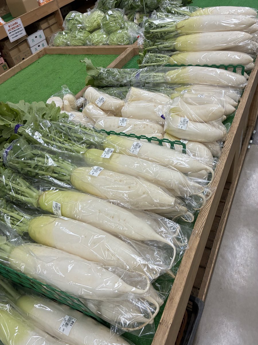 ゆゆまる産業さま専用ページ✨冷凍ヤワゲネズミ☆真空パック保存