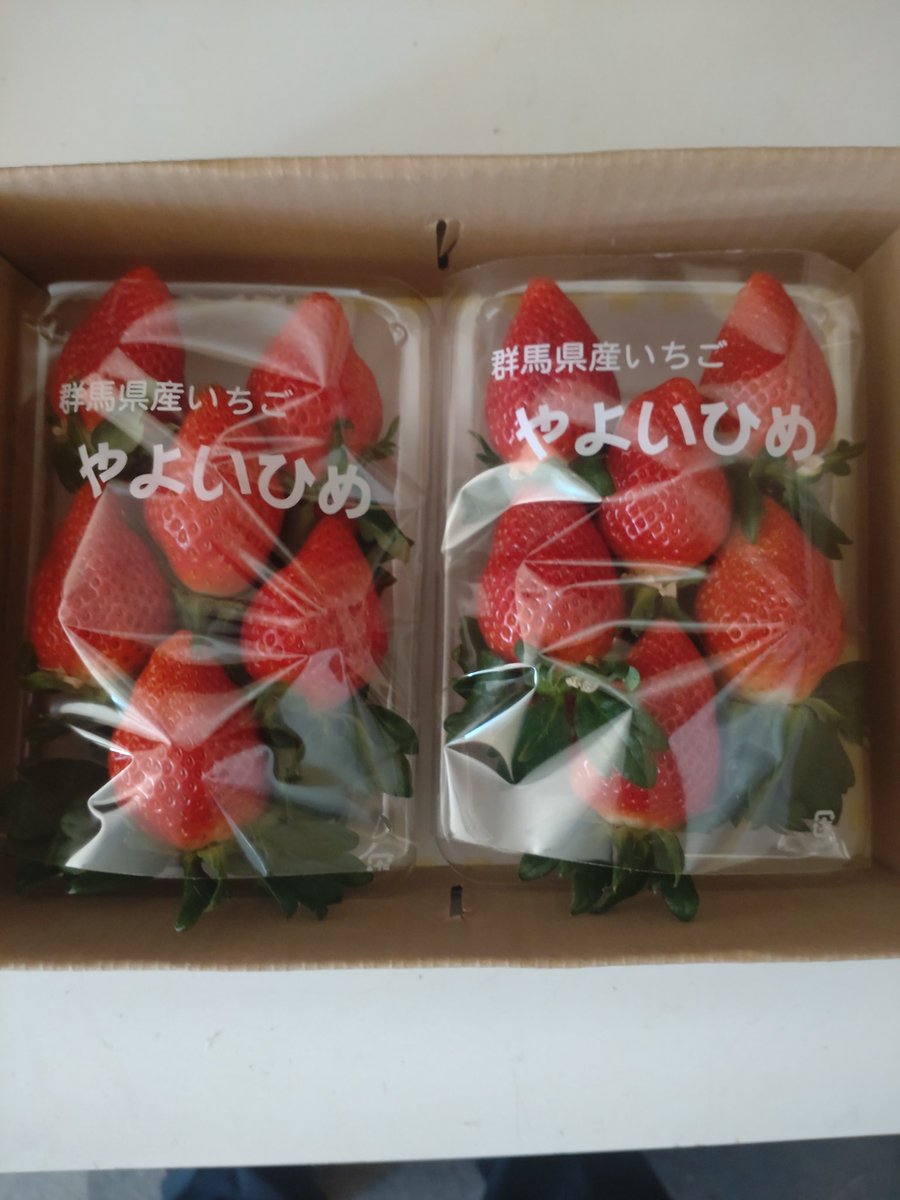 higuchi_engei's tweet image. おはようございます☀
樋口園芸より
ささやかではございますが
#クリスマスプレゼント
致します🍓

いちご🍓2パック入りを
2名様に✌️

応募方法
①アカウントのフォロー
②このポストのリポスト
　&amp;amp;いいね👍

応募期間
21日日曜日の午前10時まで🙋

ご当選者さまにはDM💌
します