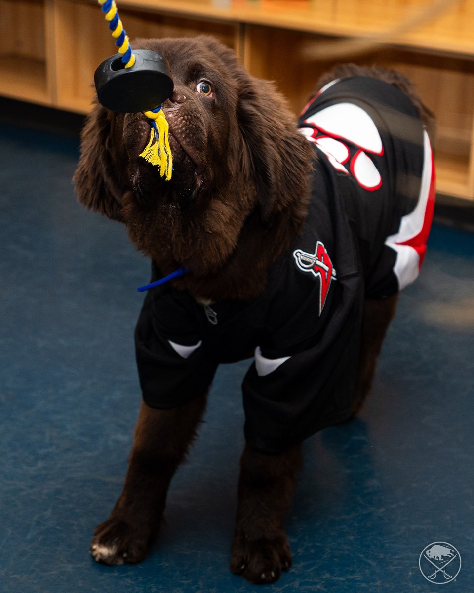 Mac tweet media