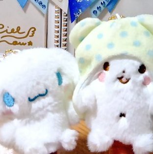 さみちゃ🌸@固定プロフ必読 (@0608zsamibabaa) / Posts / X