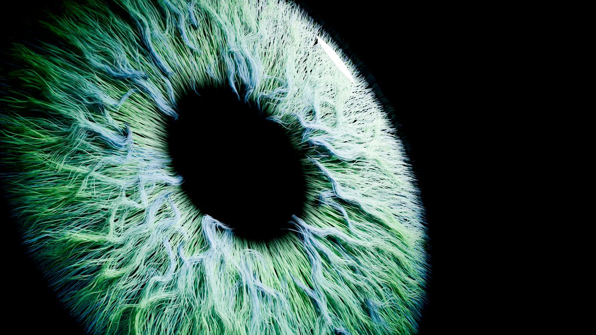 Nurtle 🐢 tweet media