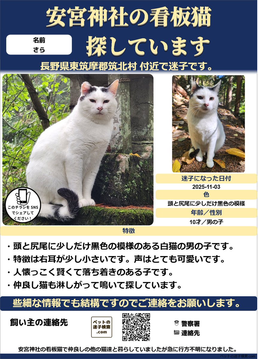 本家】ペットの迷子検索.com (@maigokensaku) / Posts / X