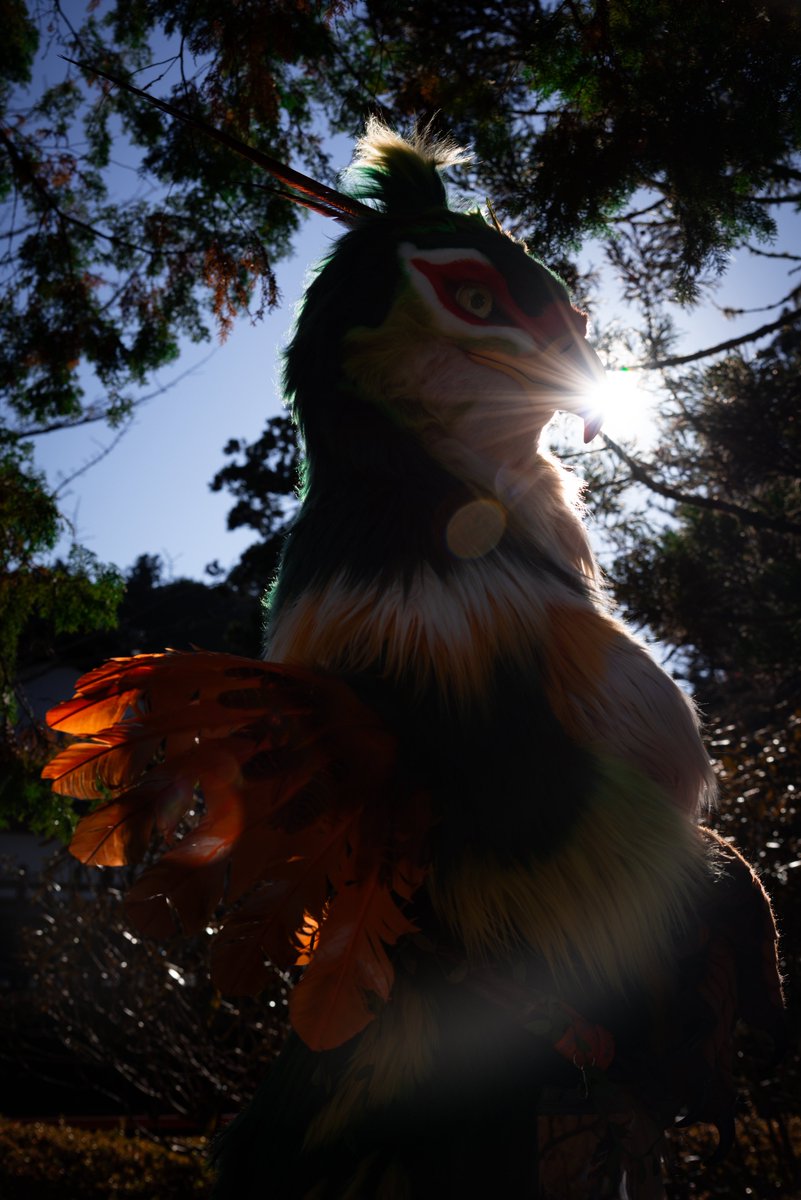 #FursuitFriday
#寺もふ10
〜妖艶〜