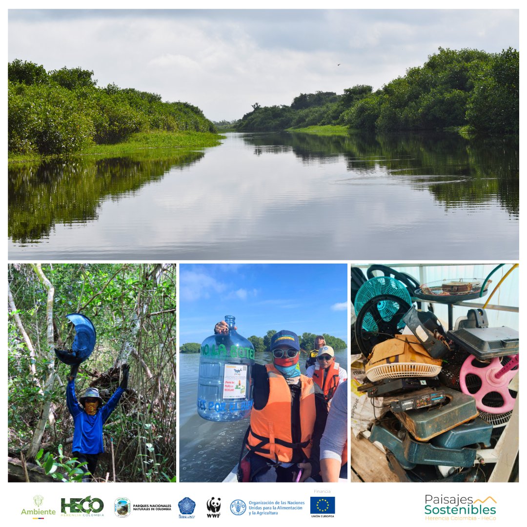 FAO Colombia tweet media