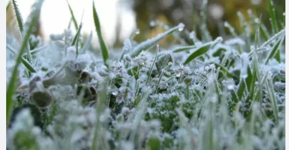 الأرصاد : أجواء باردة تسود المملكة وتحذيرات من الصقيع 