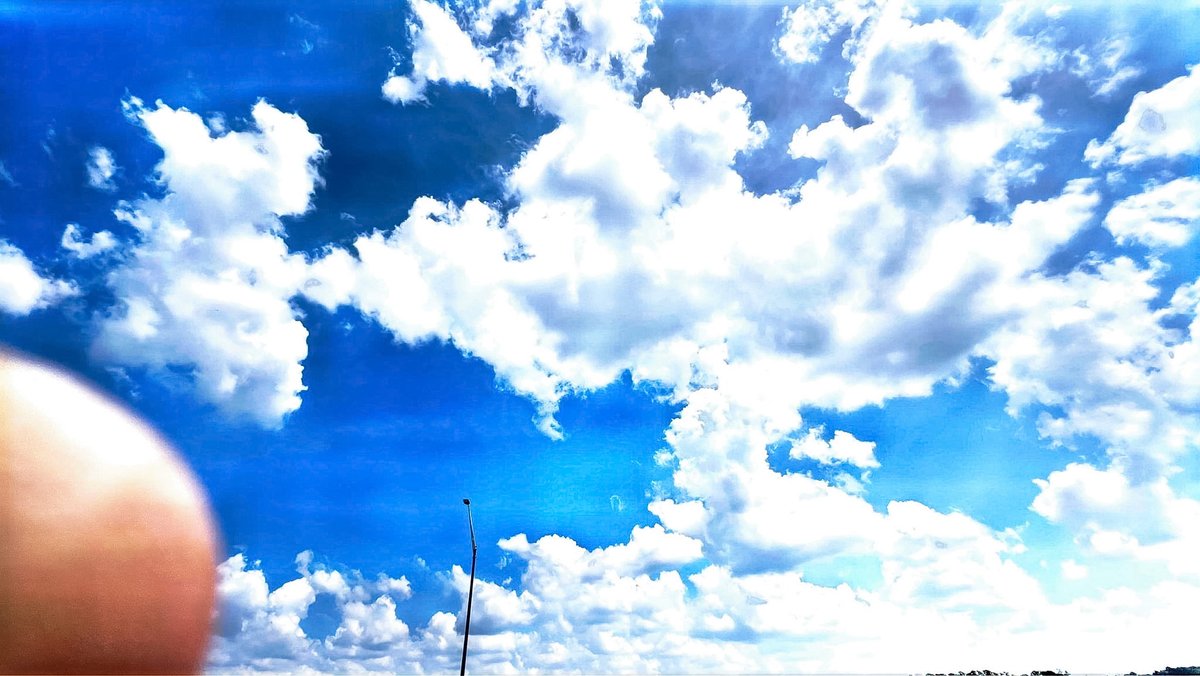 GoConchs's tweet image. Just1