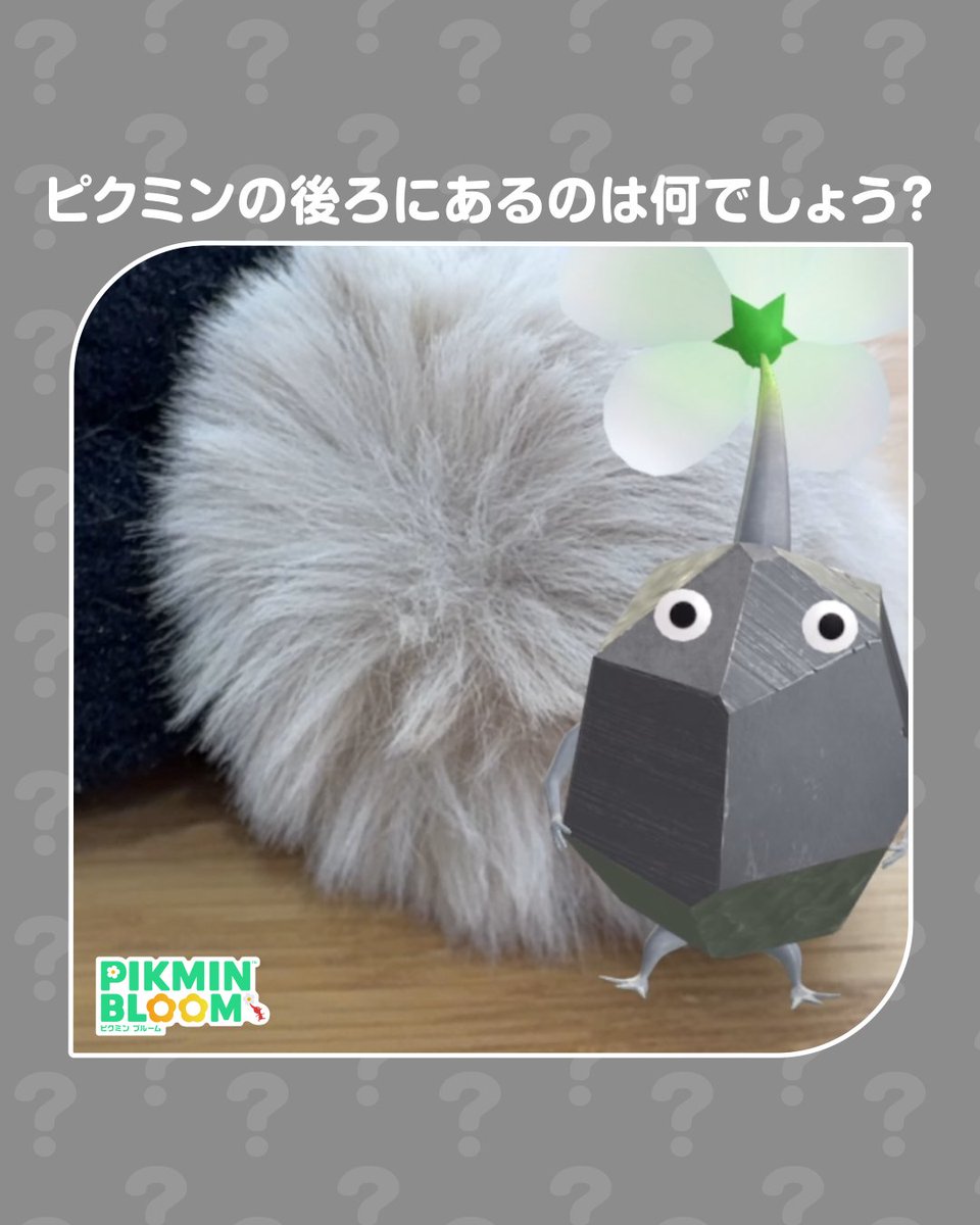 Pikmin Bloom Japan │ ピクミンブルーム (@PikminBloom_jp) / Posts / X