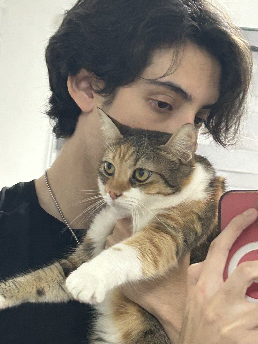 VOLTEA KIRA VOLTEAAA