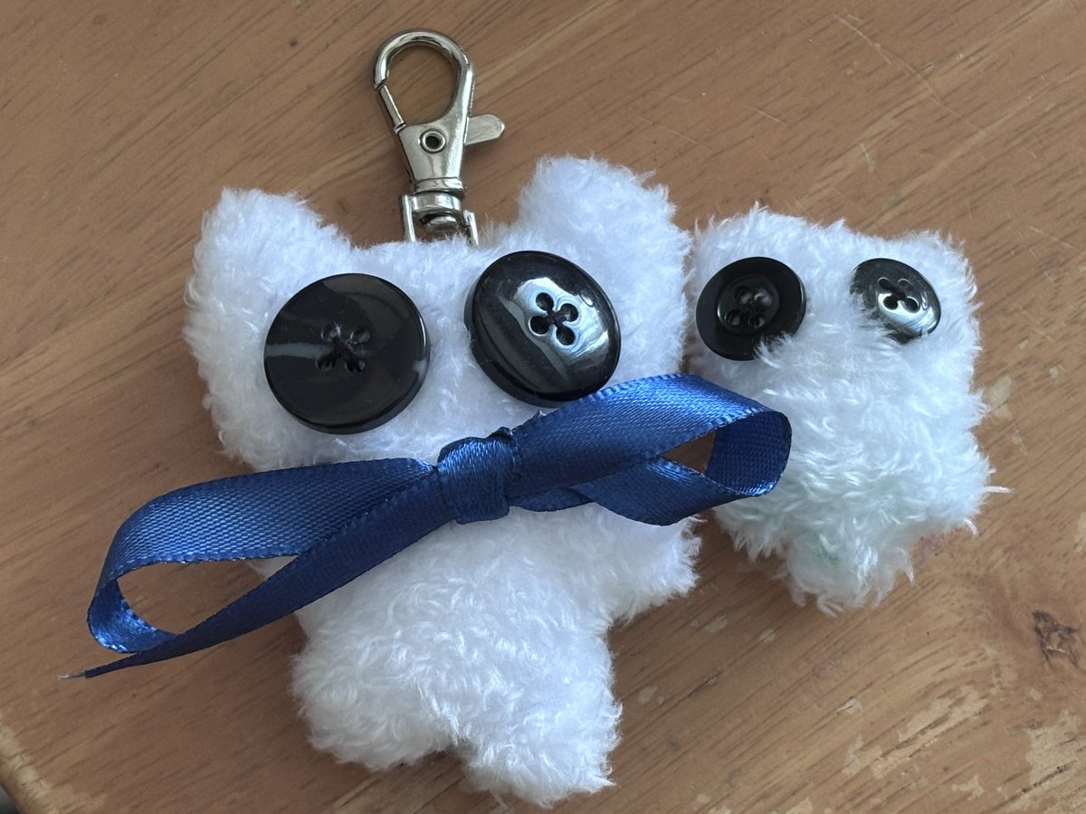 枠で作ってた猫ちゃん！
TikTokで見てつくりたくなったやつ！
右のがクリオネみたいになっちゃった笑