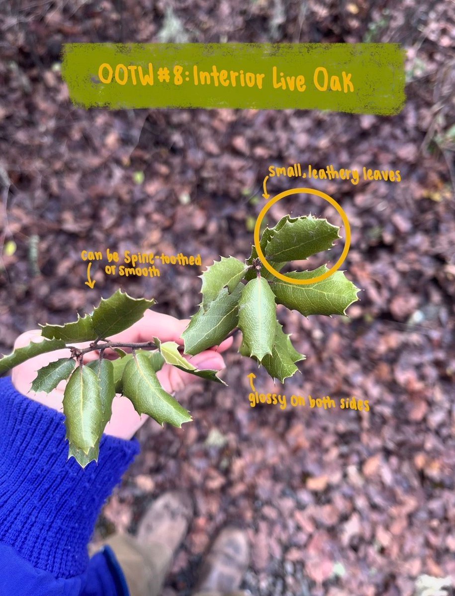 Hopland Research and Extension Center tweet media