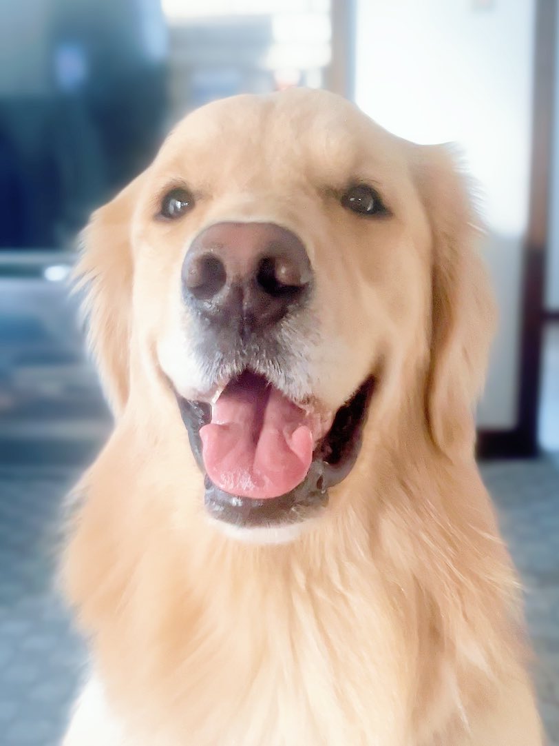 わんわん@プロフ確認 ページ お知らせ | 大阪府立 花の文化園