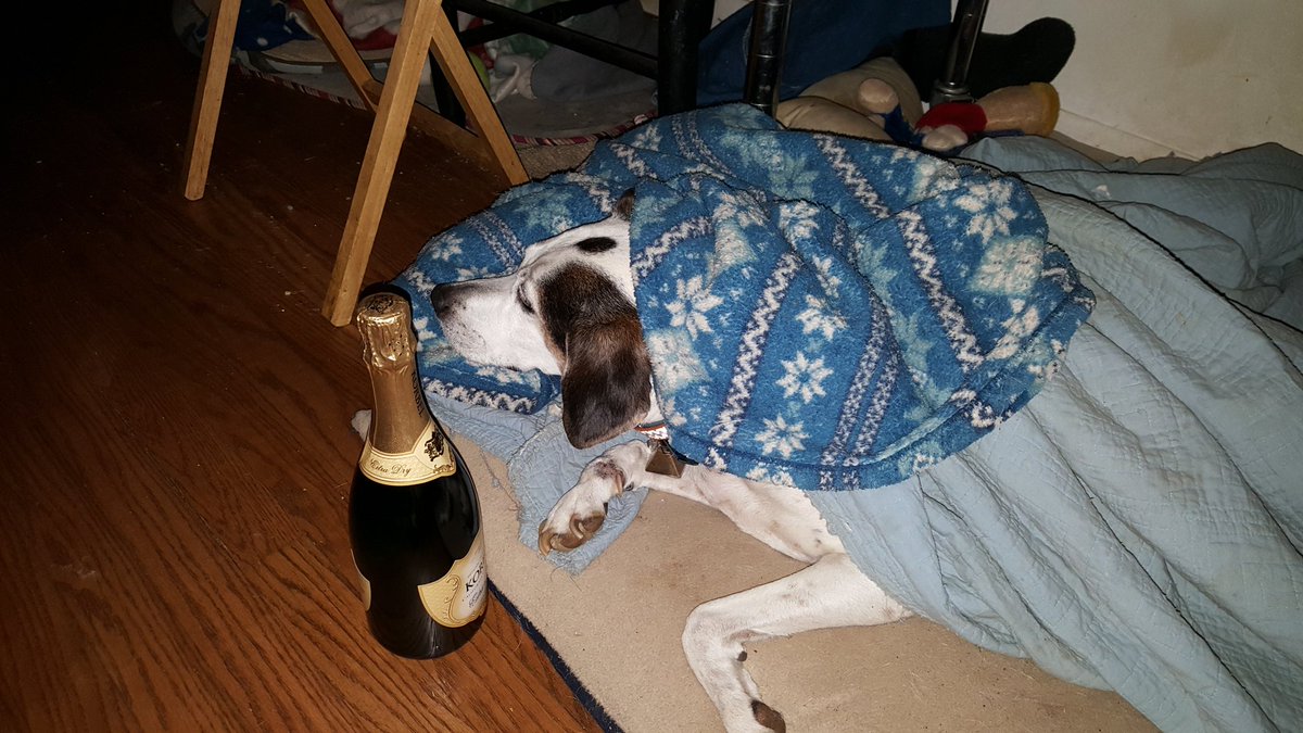 #TheWorldMightEndBut Fred isn't going to worry about it