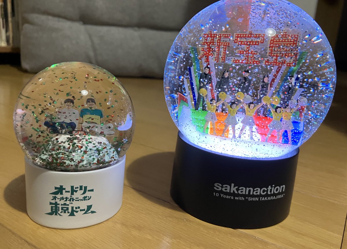 オードリーのオールナイトニッポン in 東京ドーム スノードーム 【公式
