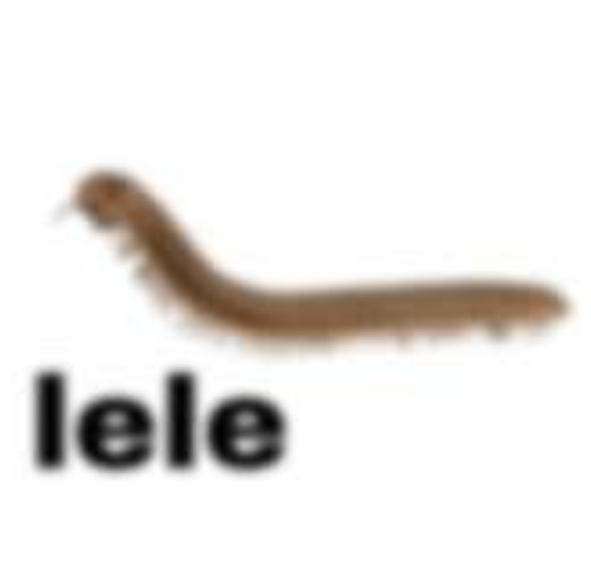 my sister sent this image to me the other day and i've been in love ever since with Lele.