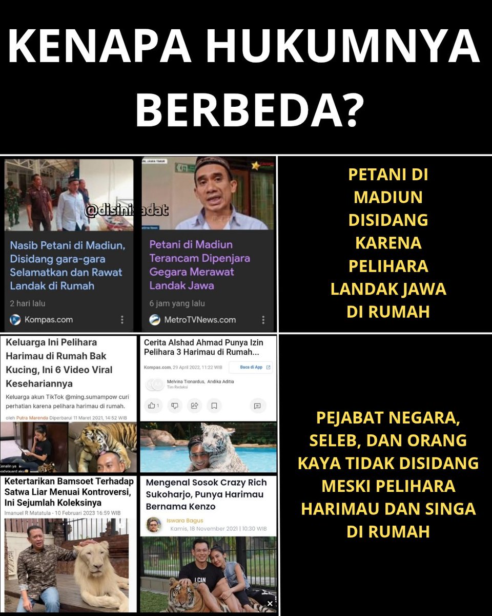 Petani di Madiun terancam dipenjara karena ketahuan memelihara Landak Jawa di rumah yang notabene hewan dilindungi 

Tp kenapa aturan yg sama tdk diberlakukan ke pejabat negara, seleb n orang kaya yg memelihara harimau n singa di rumah?

Yang sarjana hukum bisa kasih pencerahan?