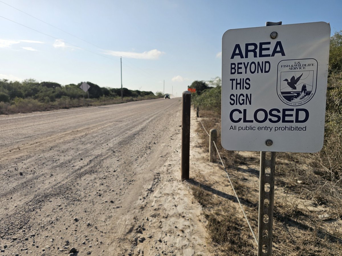 Craig Mouser tweet media