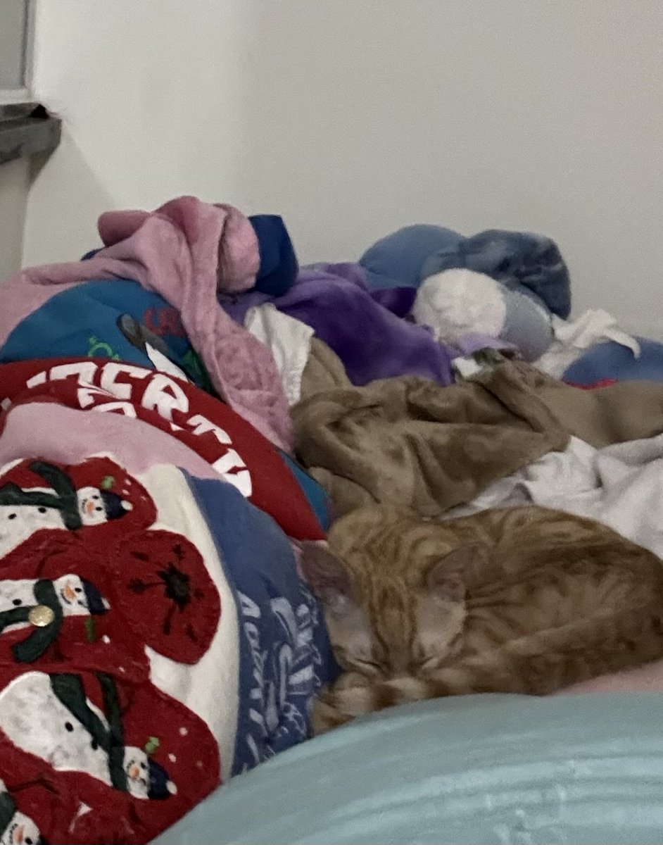 Apparently attacking small planes is exhausting work for an almost 5 month old. Don’t worry he is well paid in treats, cuddles, and sink time (he is obsessed with the bathroom faucet).