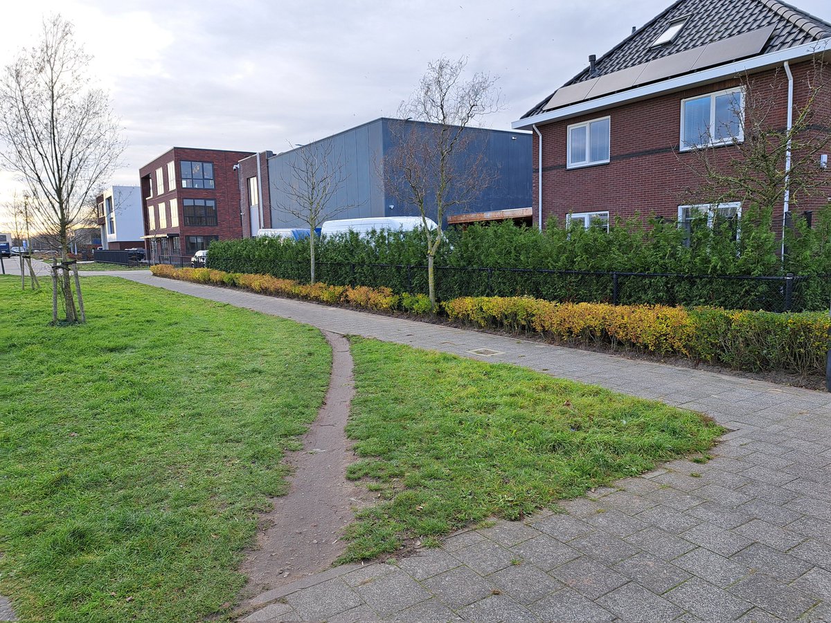 Ralph van Wolffelaar tweet media