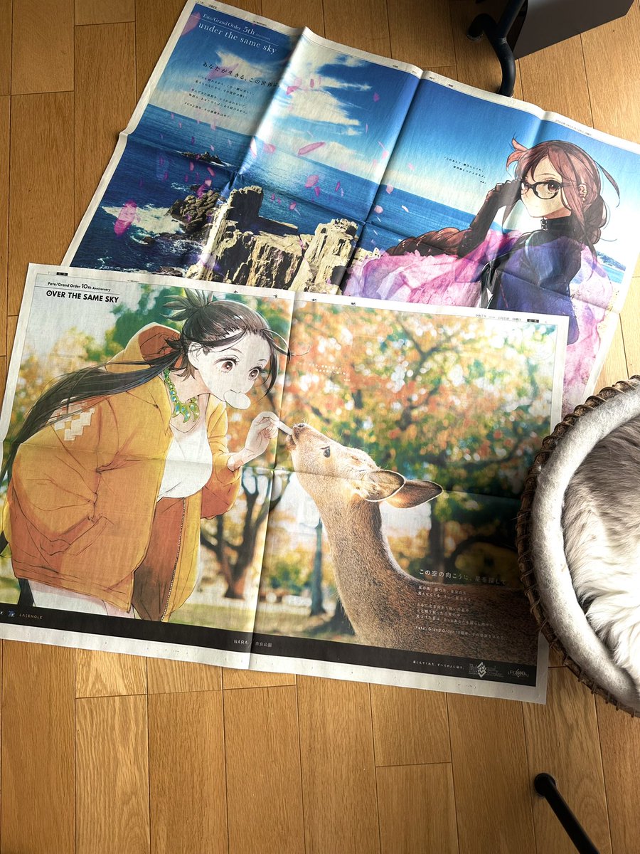 toi8 (@toi81008) / Posts / X