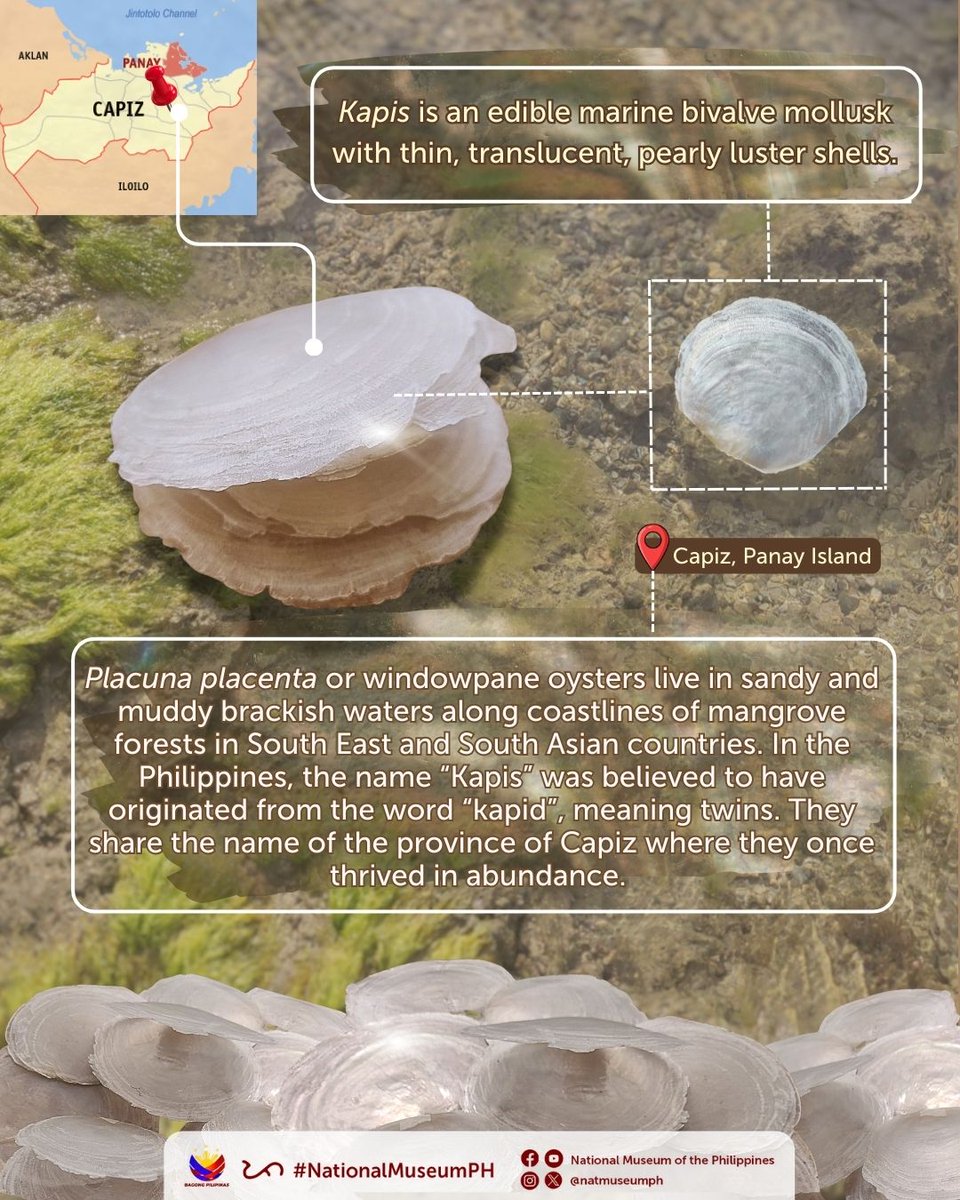 National Museum of the Philippines tweet media