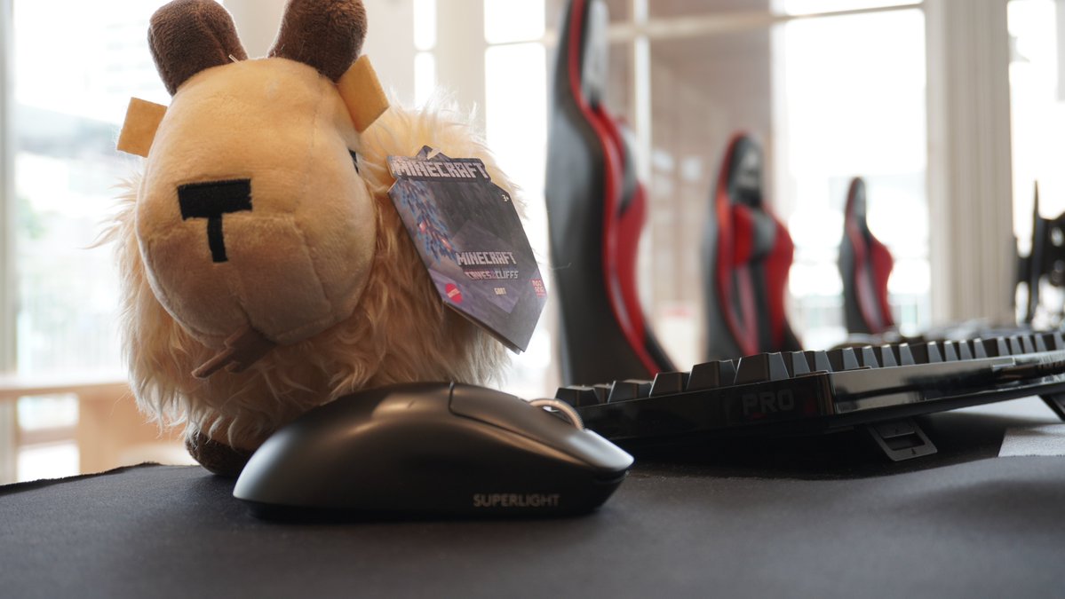 むぎちゃん Mugihobi (@Mugi_Panda) / Posts / X