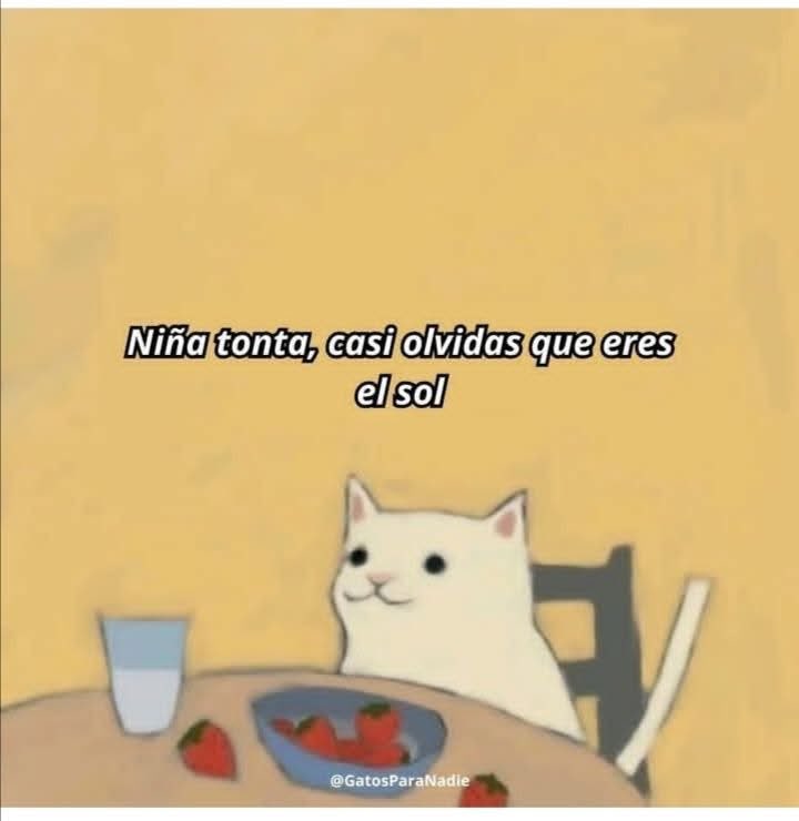 Dilo con gatitoz (@dilocongatitoz) on Twitter photo 