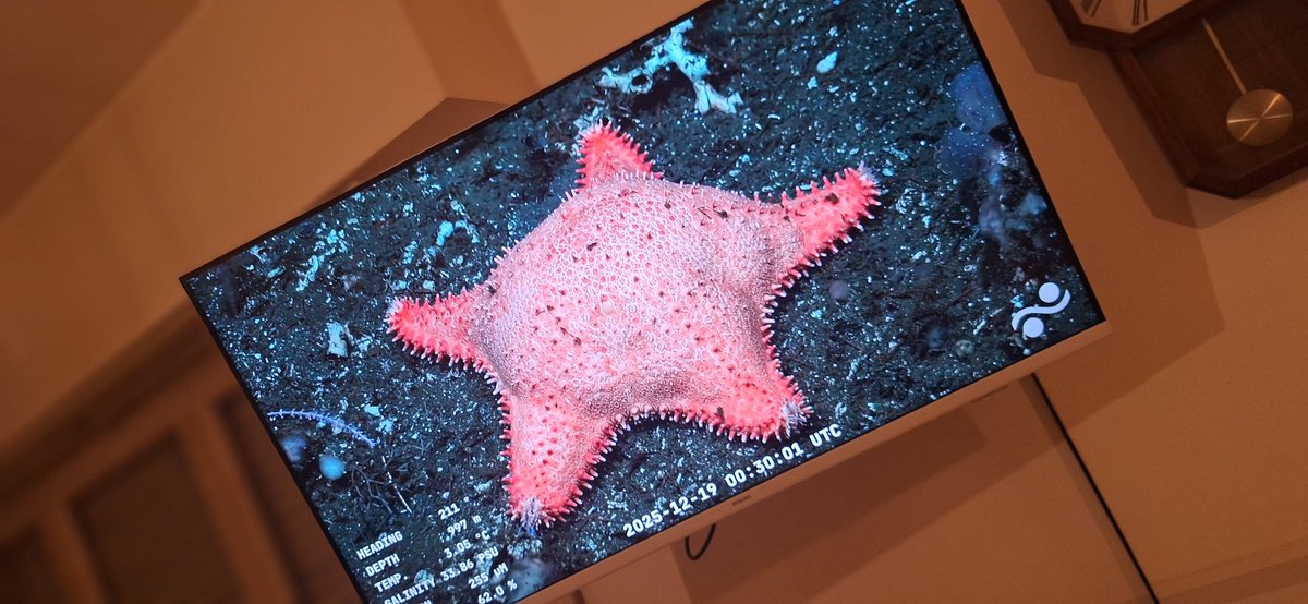 Volvió #PatricioEstrella al nuevo stream del <a href="/CONICETDialoga/">CONICET Dialoga</a> <a href="/Conicet/">Conicet</a> en la expedición junto al #SchmidtOceanInstituteen de la cuenca Salado Colorado.