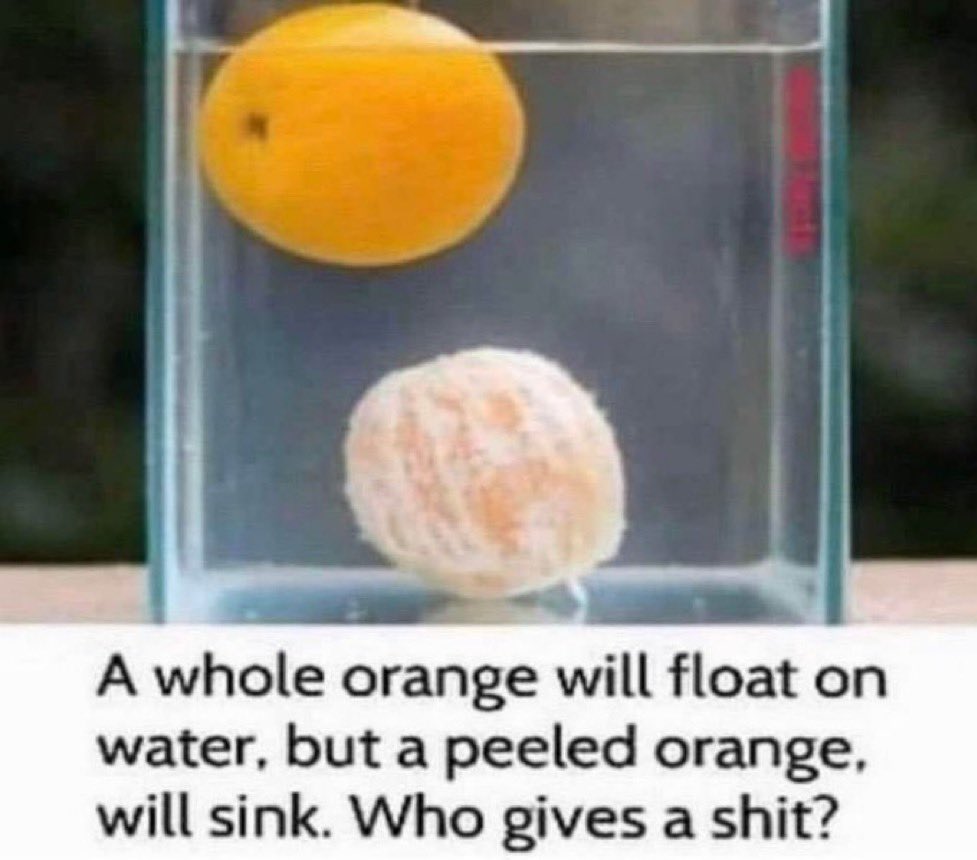 toxicsoursludge's tweet image. how I’ve been living my life recently #likereally #whogivesashit