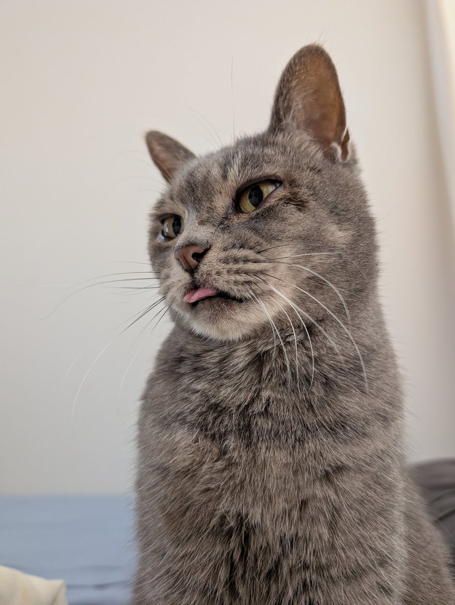 th（つっついたら余計出た）