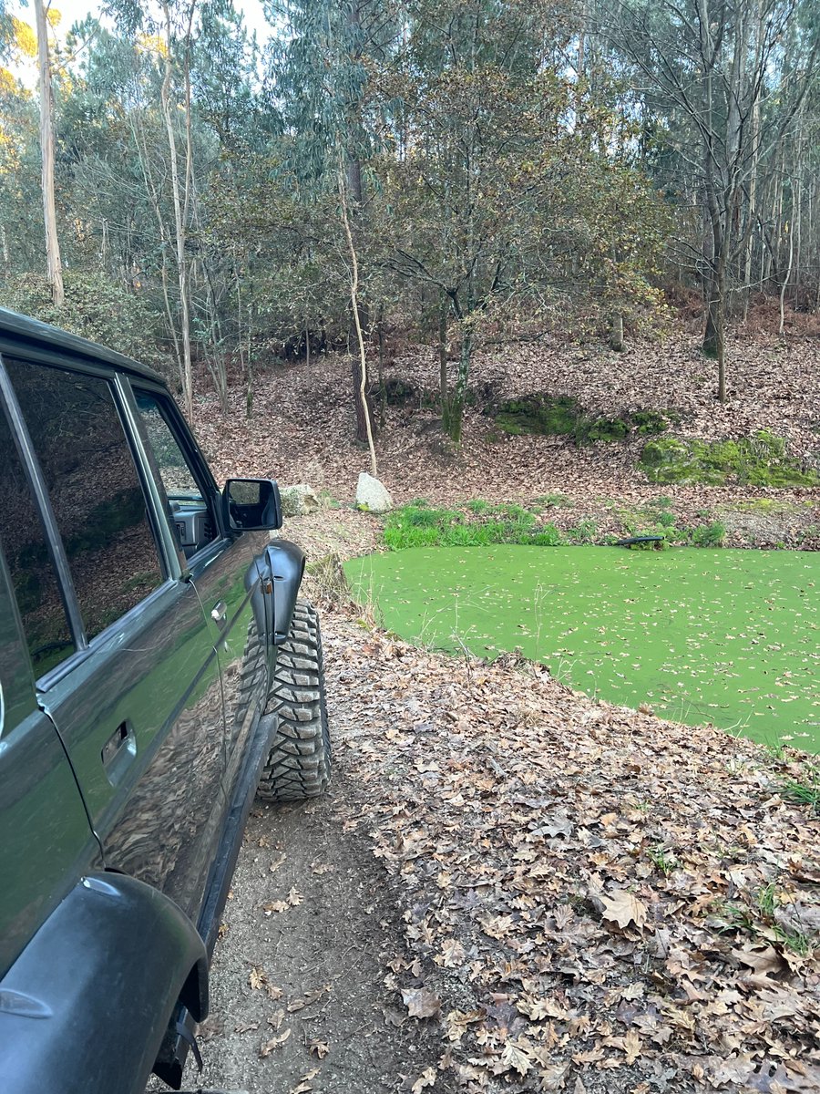 Mathew Taylor tweet media