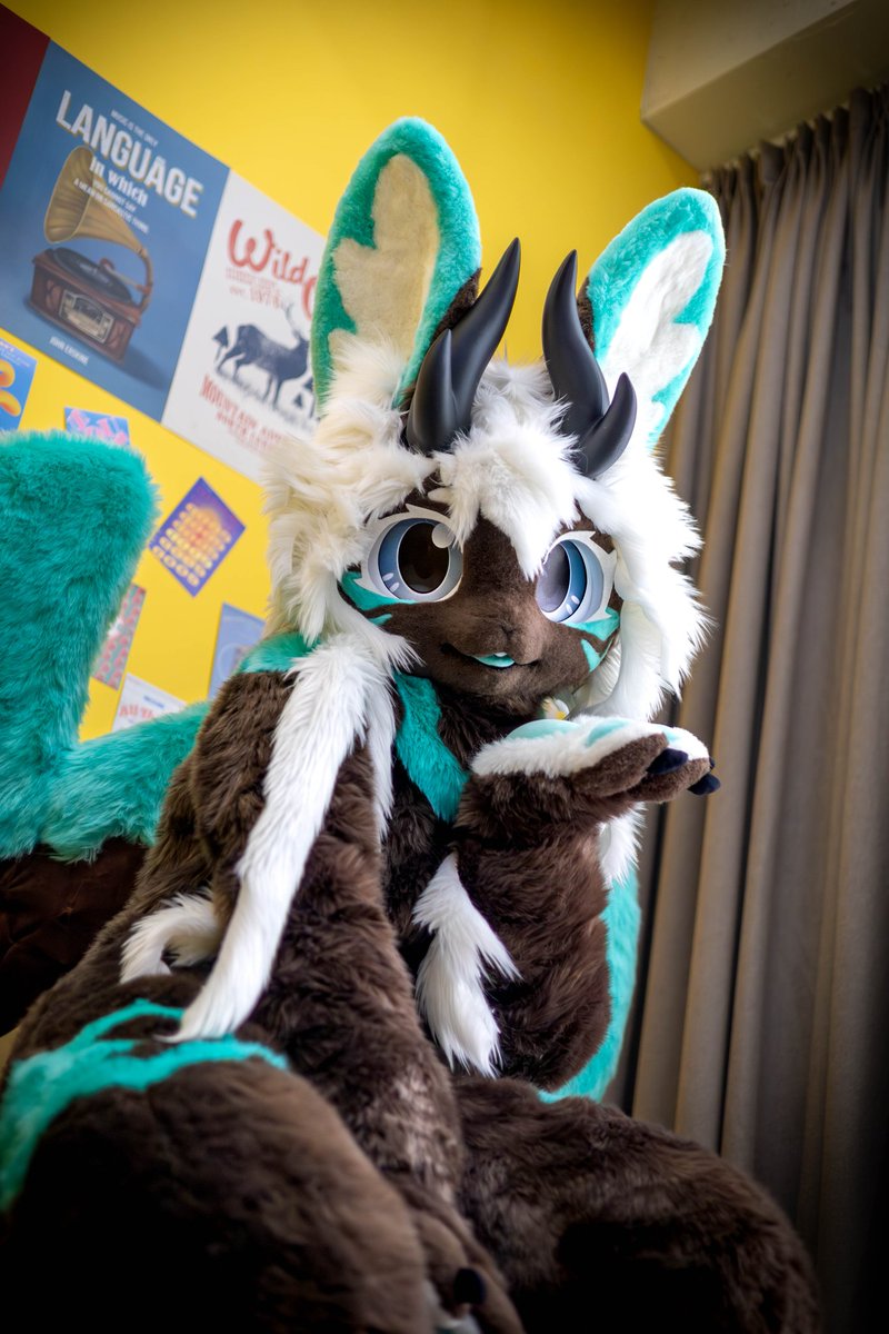 drumari_gwak's tweet image. 📸 @Melty_furry 

#FursuitFriday