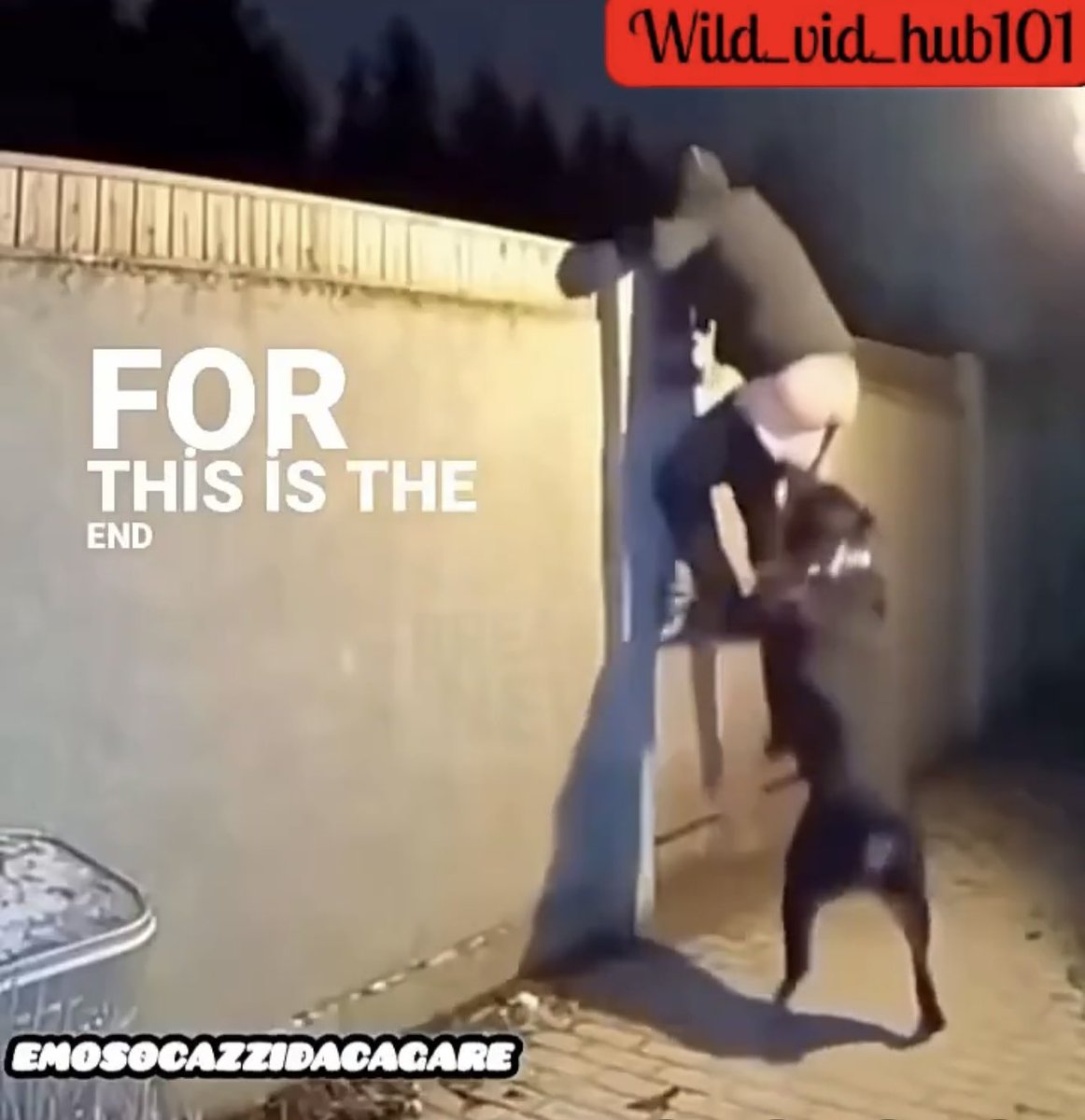 <a href="/ArmaLite15OU812/">LD Basler</a> He grab unto that pant, saying bro you ain’t going nowhere😖😖