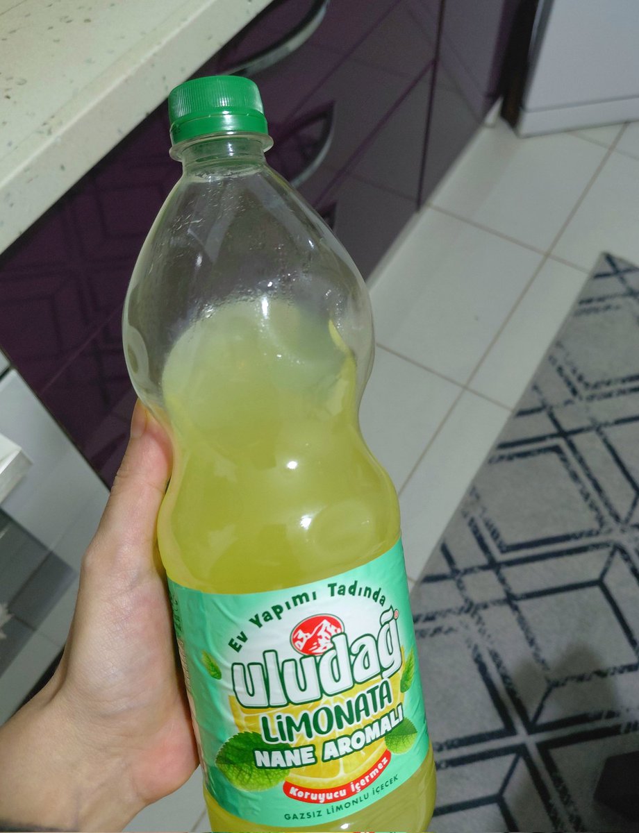 Vatanın yok, bayrağın yok, limonatan yok. Boşa geçmiş bir ömür. 😅
