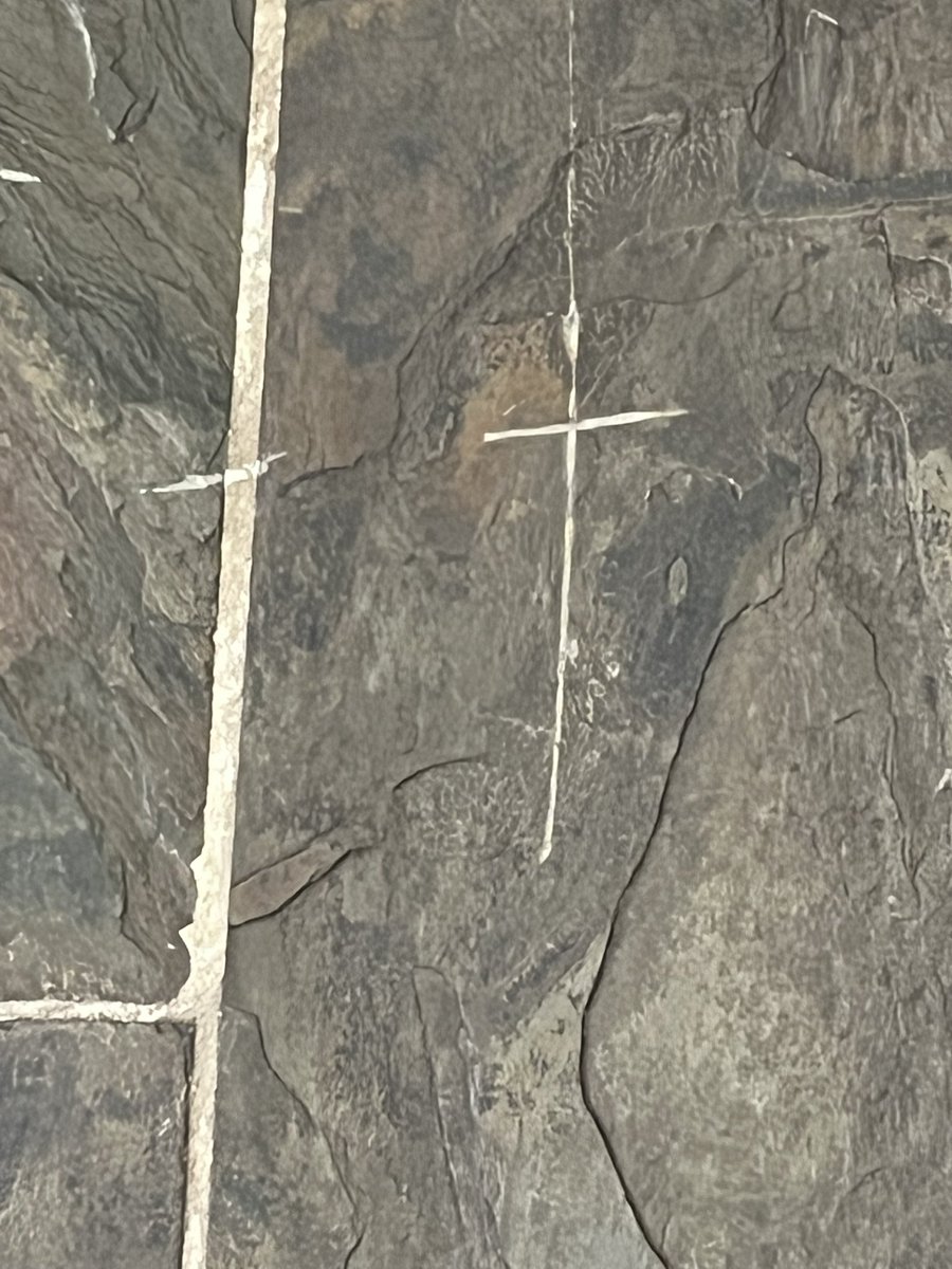 MrsScottBaio's tweet photo. The last 5/6 weeks I’ve had some serious health issues and having all kinds of tests. I’ve been waiting long past the due date for results. A few days ago, I noticed a NEW cut in our kitchen floor. When we moved to our FL home,the large cut was there, not the ✝️ God hears my 🙏’s https://t.co/nGXwEFPuO9