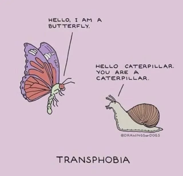 Ash_Lee_IRL's tweet image. This you?