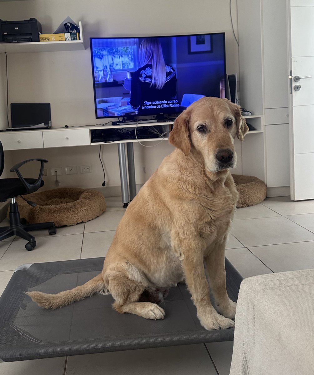 Nueva camita para la reina